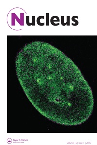 Cover image for Nucleus